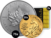 Kettner Vermögensschutzpaket L