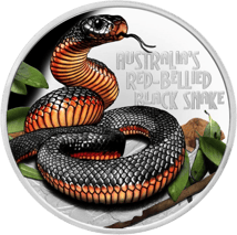 1 Unze Silber Rotbauch-Schwarzotter 2022 PP (Auflage: 2.500 | coloriert | Polierte Platte)