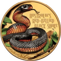 1 Unze Gold Rotbauch-Schwarzotter 2022 PP (Auflage: 150 | coloriert | Polierte Platte)