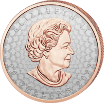 1 Unze Silber Maple Leaf Super Incuse 2022 (Auflage: 7.000 | teilvergoldet | Reverse Proof)