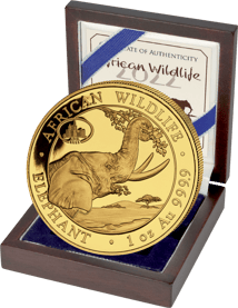 1 Unze Gold Somalia Elefant 2023 Motiv (PM: ANA | Auflage: 100 | Jahrgang 2022)