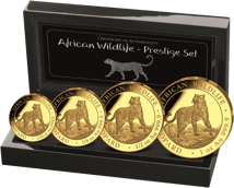 Gold African Wildlife Leoparden Set 2022 PP (Auflage: 300 | Polierte Platte)
