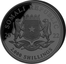 1kg Silber African Wildlife Leopard 2022 Black Edition (Auflage: 100 | platiniert)