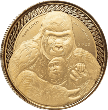 1 Unze Gold Kongo Silberrücken Gorilla 2023 (Auflage: 100)