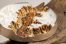 5 Unze Silber Grand Canyon 2023 (Auflage: 777 | Polierte Platte | coloriert | Ultra High Relief)