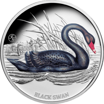 1 Unze Silber Trauerschwan 2024 PP mit John Gould Privy Mark (Auflage: 750 | coloriert | Polierte Platte)