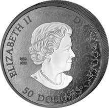 5 Unze Silber Maple Leaves in Motion 2024 PP (Auflage: 2.000 | Polierte Platte | Rhodium)