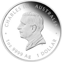 1 oz Silver One Love 2024 PP (Mintage: 5,000 | Proof)