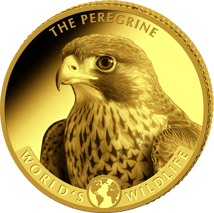 0,5g Gold Kongo World's Wildlife Wanderfalke 2024 PP (Auflage: 5.000 | Polierte Platte)