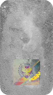 10 Unze Silberbarren Germania Mint