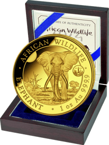 1 Unze Gold Somalia Elefant Motiv 2025 (Auflage: 100 | Privymark: ANA Chicago | Jahrgang: 2024)