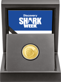 1/4 Unze Gold Weißer Hai 2024 PP (Auflage: 100 | Polierte Platte)
