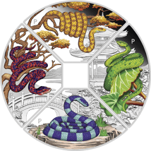 4 x 1 Unze Silber Jahr der Schlange 2025 PP (Auflage: 1.500 | coloriert | Polierte Platte)