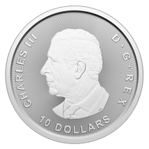 2 Unzen Silbermünze Kanada Bulle und Bär 2025