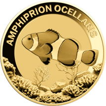 Gold Clownfisch Münze