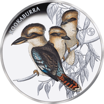 1 Unze Silber Kookaburra 2025 (Auflage: 750 | Privy Mark John Gould | Polierte Platte)