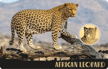 Gold Big Five Leopard