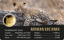 Gold Big Five Leopard