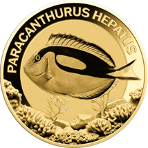 Gold Doktorfisch Münze