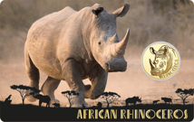 Gold Big Five Nashorn Münze