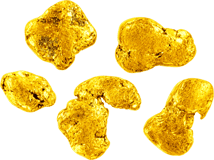 5er Set Yukon Goldnugget (Echte Nuggets 7,77g)