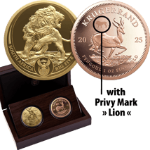 2 x 1 Unze Gold Big Five III & Krügerrand Satz Privymark Löwe 2025 (Auflage: 100 | Polierte Platte)