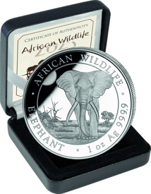 1 Unze Silber Somalia Elefant 2025 (Auflage: 500 | Erstabschlag WMF)