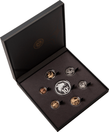 Südafrika Kursmünzenset mit 1oz Silber Honigbiene 2024 (Auflage: 750 | Polierte Platte)