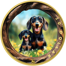 1 Unze Silber Kurzhaardackel 2025 (Auflage: 100 | teilvergoldet)