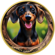 1 Unze Silber Kurzhaardackel 2025 (Auflage: 100 | teilvergoldet)