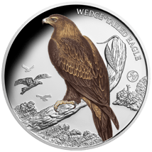 1 Unze Silber Keilschwanzadler 2025 (Auflage: 750 | Privy Mark | Polierte Platte)