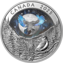 1 Unze Silber Moon Sky Raven 2025 (Auflage: 7.500 | Hologramm | Polierte Platte)
