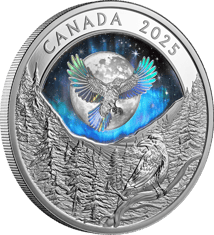 1 Unze Silber Moon Sky Raven 2025 (Auflage: 7.500 | Hologramm | Polierte Platte)