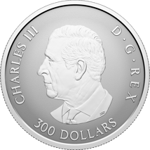 1 Unze Platin Maple Leaf Aquamarin 2025 (Auflage: 450 | Reverse Proof)