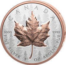 1 Unze Silber Maple Leaf 2025 (Auflage: 8.500 | High Relief | teilvergoldet | Reverse Proof)