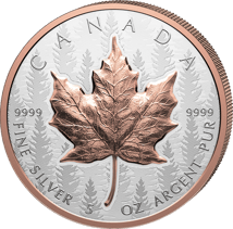 5 Unze Silber Maple Leaf 2025 (Auflage: 1.850 | High Relief | teilvergoldet | Reverse Proof)