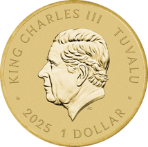 Teenage Mutant Ninja Turtles Collector Coin 2025 (Auflage: 6.000)