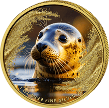 1 Unze Silber Seerobbe 2025 (Auflage: 100 | teilvergoldet)
