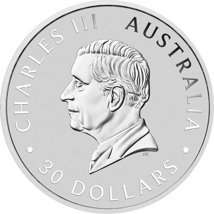 1 kg Silber Koala 2026