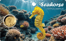 Gold Seepferdchen Münze