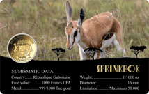Gold African Springbok Münze