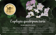 Gold Schmetterling Spanische Flagge Münze