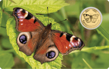 Gold Schmetterling Tagpfauenauge Münze