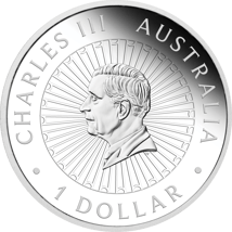 1 Unze Silber Great Southern Land Schlangenhaut Jaspis Opal Serie 2025 (Auflage: 5.000 | Polierte Platte)