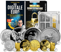 Selbstverteidigung S