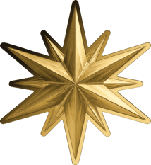 Gold Stern Shaped Coin