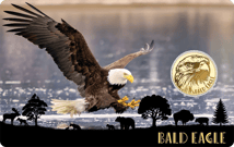 Gold Weißkopfseeadler Münze (Auflage: 50.000)