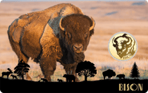 Gold Bison Münze (Auflage: 50.000)