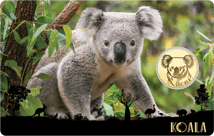 Gold Koala Münze (Auflage: 50.000)