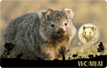 Gold Wombat Münze (Auflage: 50.000)